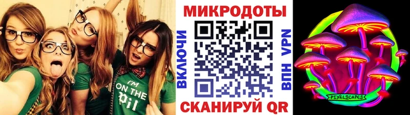Купить где  Костерёво  Галлюциногенные грибы мицелий 